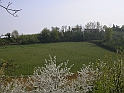 Primavera 2007_25